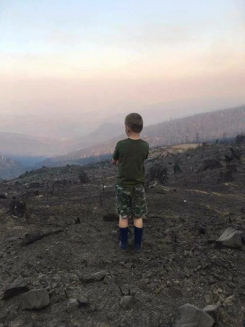 A child stands looking out over a hillside of burned timber.