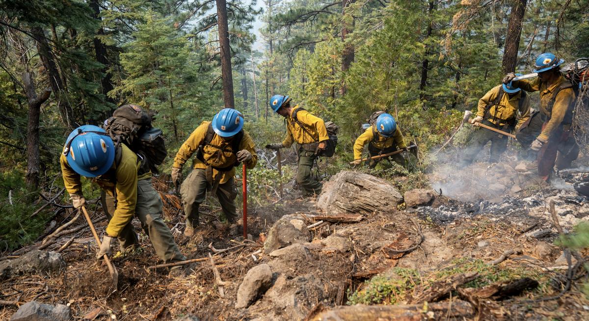 A hand crew in yellow nomex works a fireline with hand tools along a forested ridge.