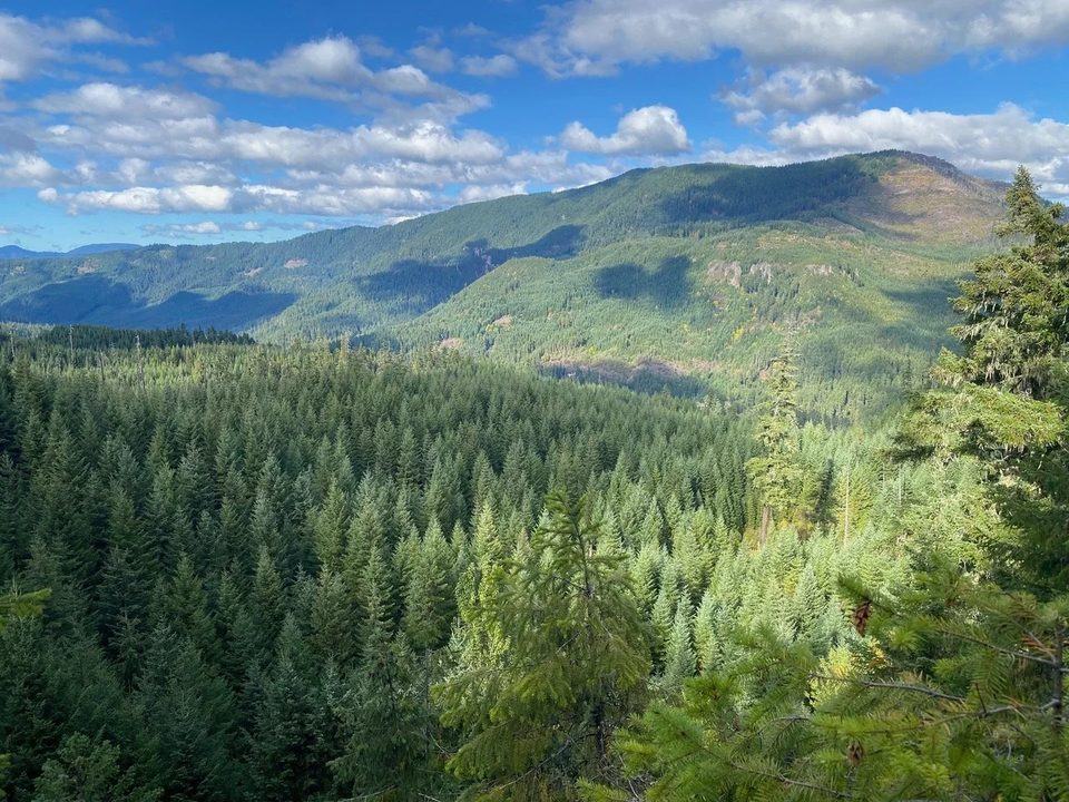 Forested hills under open sky.