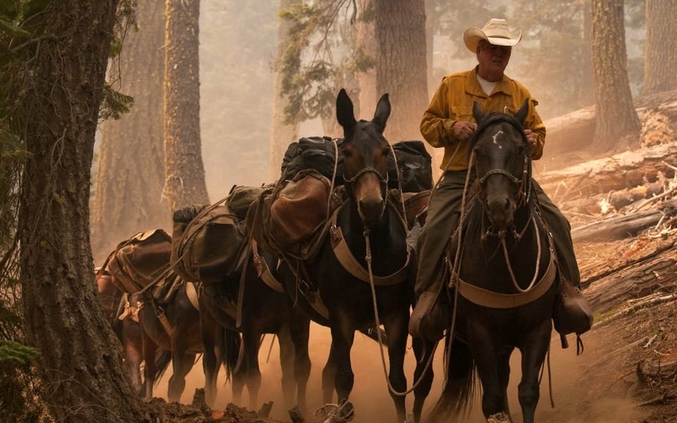 A rider in a hat leads a pack string of mules through smoke and dust in a burned forest, the trailing animals fading into haze.