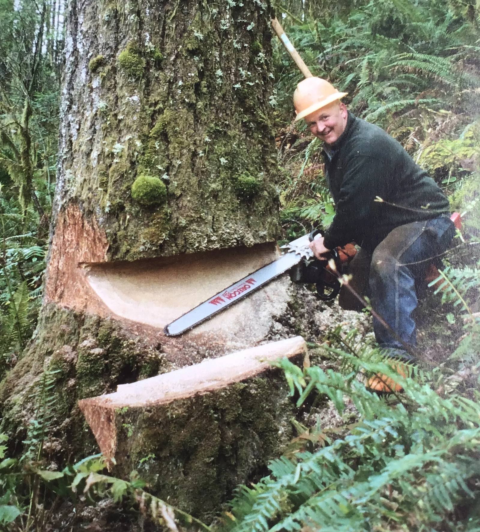 A forester at work among standing timber.