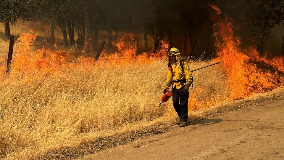 A wildland firefighter in yellow nomex walks a dirt road carrying a drip torch, flames running through dry grass and oaks behind them.