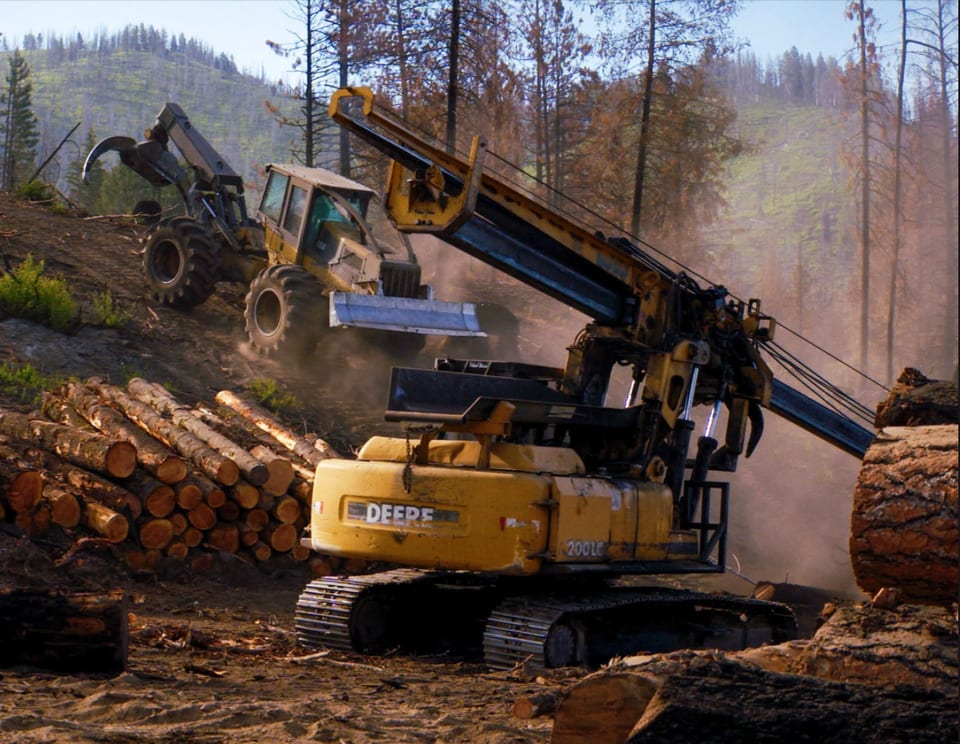 Salvage logging operations on the Boise National Forest, Idaho.