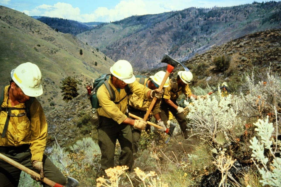 A group of wildland firefighters in white hard hats using hand tools to cut a fireline.